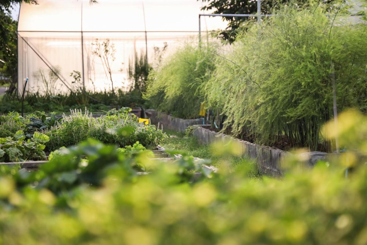 Green Me Organic Farm Stay Khaoyai Ban Khlong Yang 外观 照片