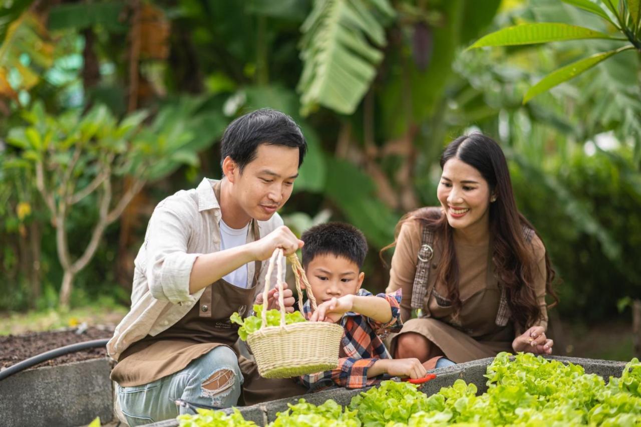 Green Me Organic Farm Stay Khaoyai Ban Khlong Yang 外观 照片
