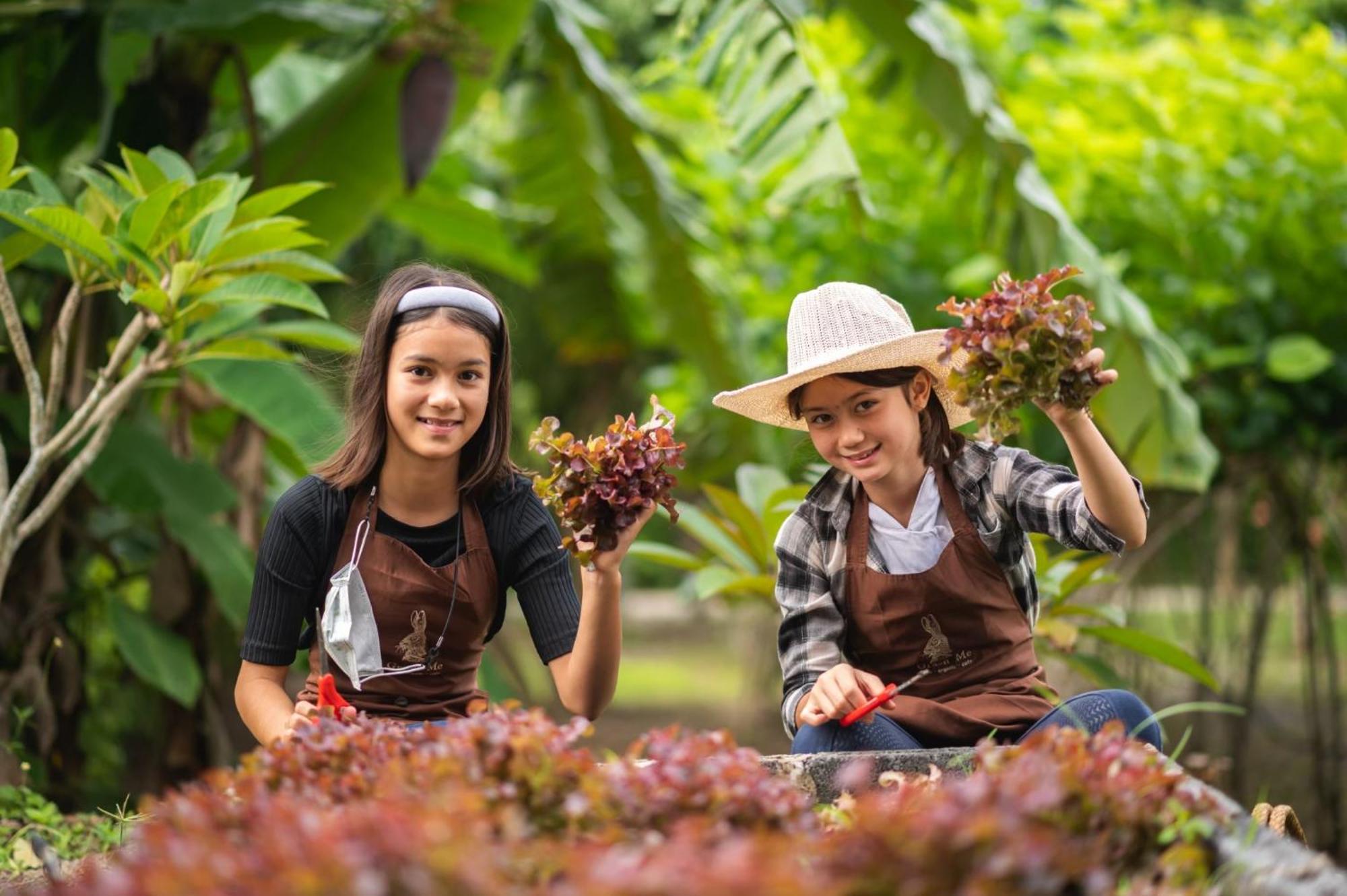 Green Me Organic Farm Stay Khaoyai Ban Khlong Yang 外观 照片